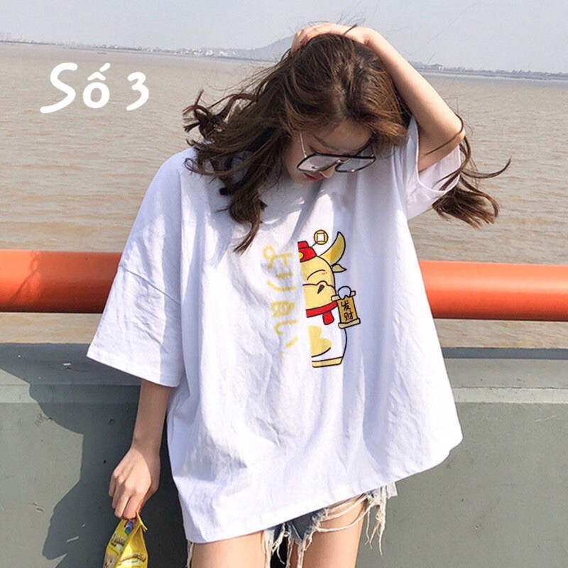 Áo phông 3D theo hình PM11