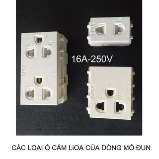 Ổ ĐƠN 2 CHẤU LiOA - MÔ ĐUN.