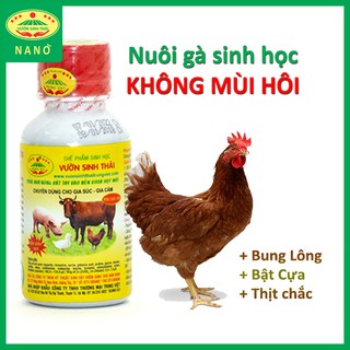 Chế phẩm sinh học nuôi Gà bung lông, bật cựa, không mùi hôi - VƯỜN SINH THÁI