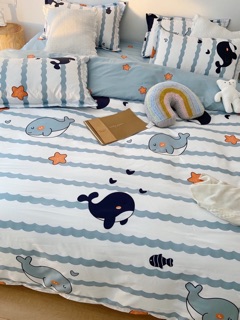Chăn ga gối cotton poly - set 4 món