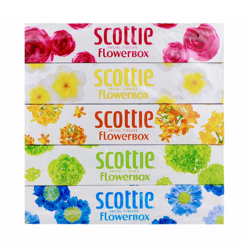 Lốc 5 hộp khăn giấy Scottie Flower Box 5 màu cao cấp