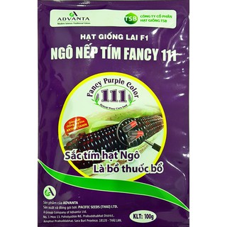 Hạt Giống Ngô Tím (Bắp Tím) 300 hạt