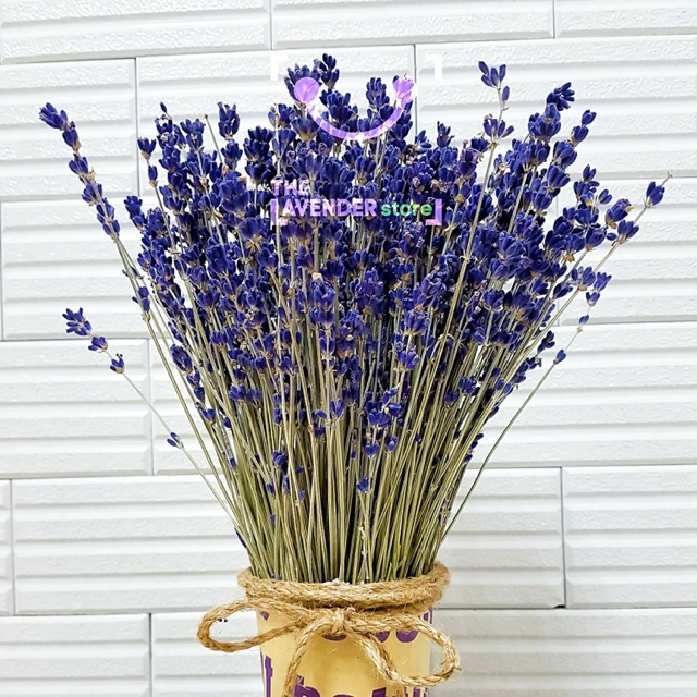 Hoa lavender khô nhập khẩu Pháp