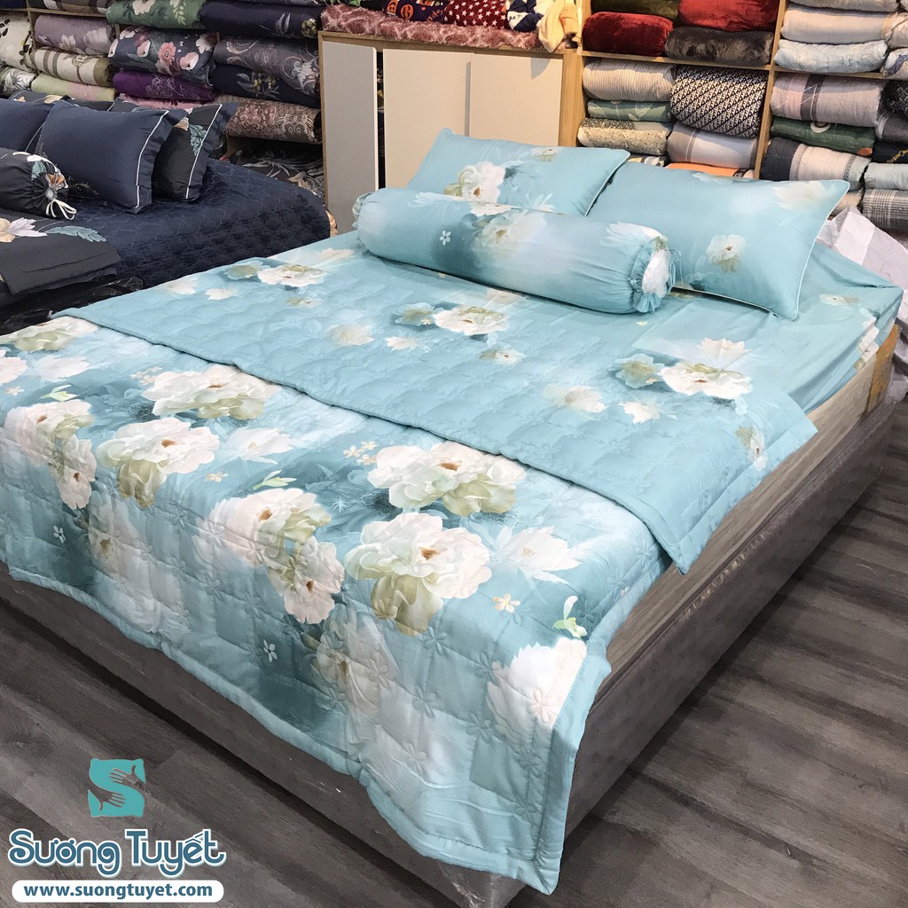 Bộ Drap Lụa Tencel LTC- 015