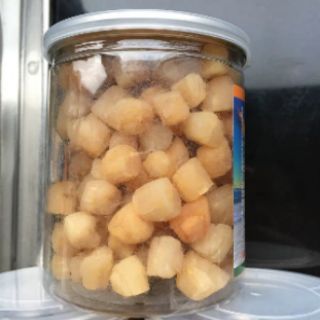 sò điệp mini