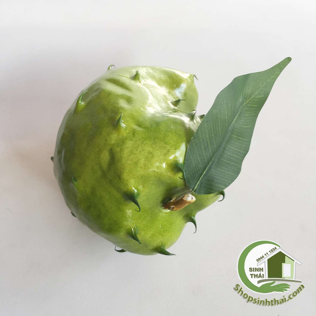 Trái mãng cầu gai - quả mãng cầu giả cao cấp