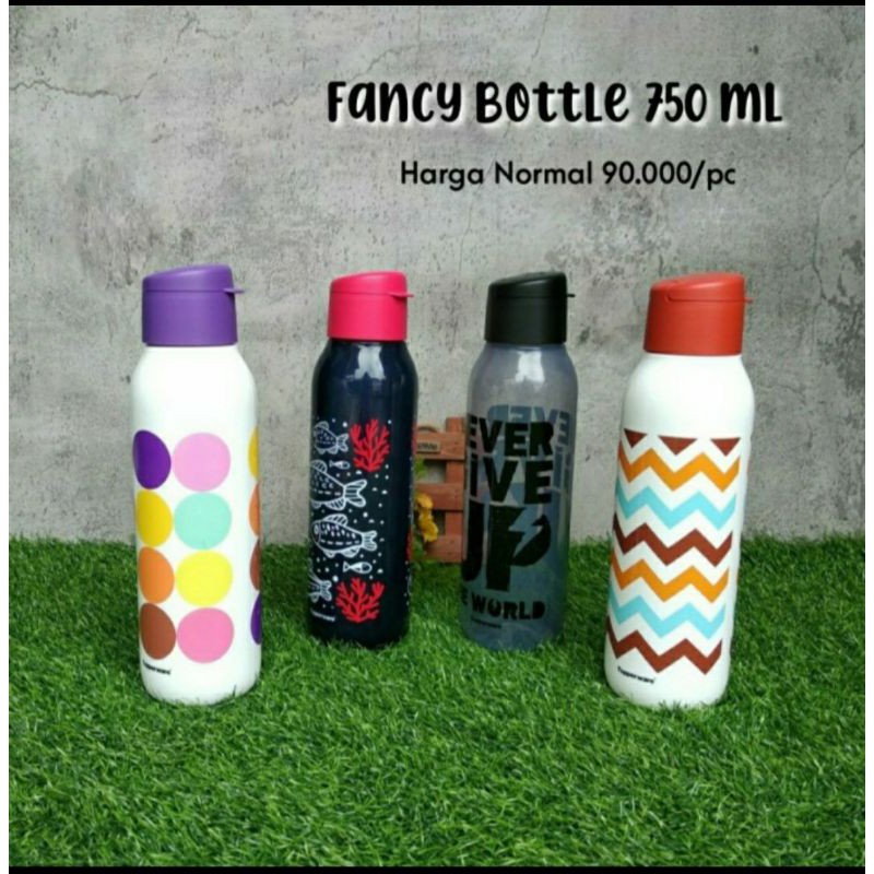 Fancy Eco Bottle 750ml 1 Pc Bottle
