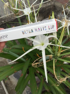 Son colorpop ultra mama matte lip