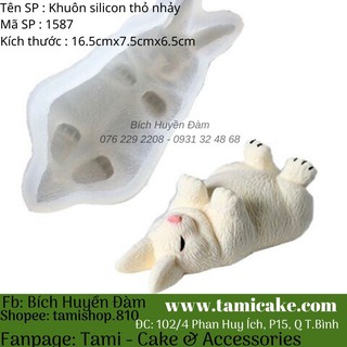 Khuôn silicon Thỏ nhảy 1587