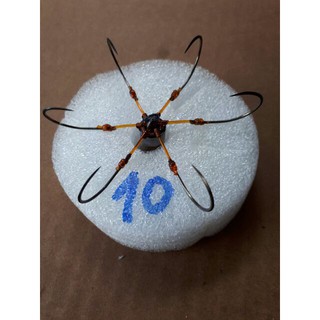Lưỡi câu lục rẻ