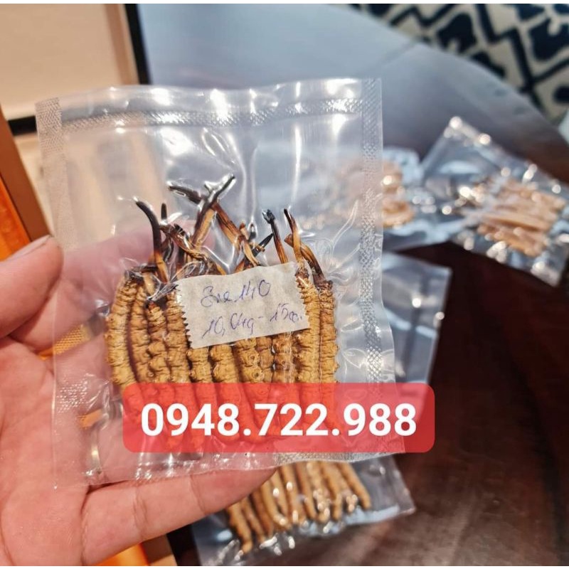 Quà Biếu Thượng Hạng - Đông Trùng Hạ Thảo Na Khúc Tây Tặng