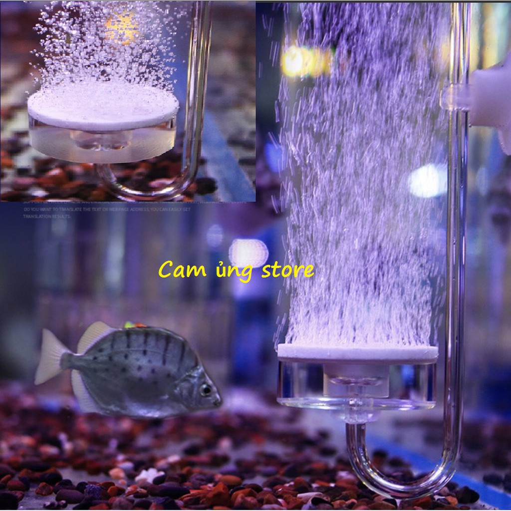 Cốc sủi oxi siêu mịn chất liệu acrylic siêu đẹp - Cốc sủi oxi chuyên dụng siêu đẹp giá siêu tốt