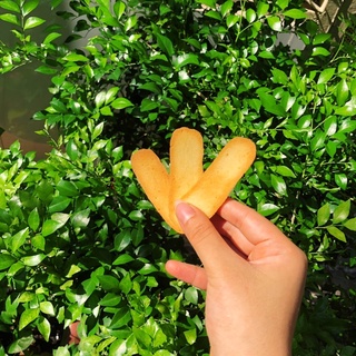 BÁNH GIẢM CÂN _BÁNH LƯỠI MÈO HEATHY ĂN VẶT