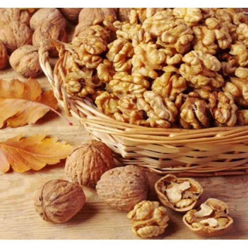 [HCM] 1kg óc chó úc | BigBuy360 - bigbuy360.vn