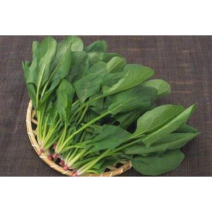 Hạt Giống Cải Bó Xôi (Rau Chân Vịt) Chịu Nhiệt, Dễ Trồng - 300H
