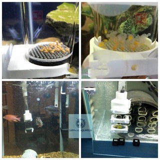 Lồng ấp trứng cá Fish Egg Incubator