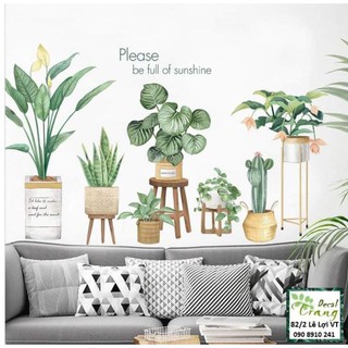 Decal Chậu Lá Nhiệt đới Tropical