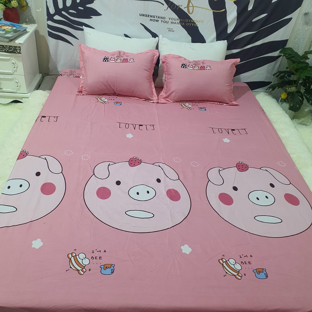 Combo Bộ Ga Gối Cotton Poly 1m2x1m9-1m6x2m