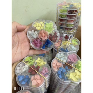 Hoa khô ẩn gel nail