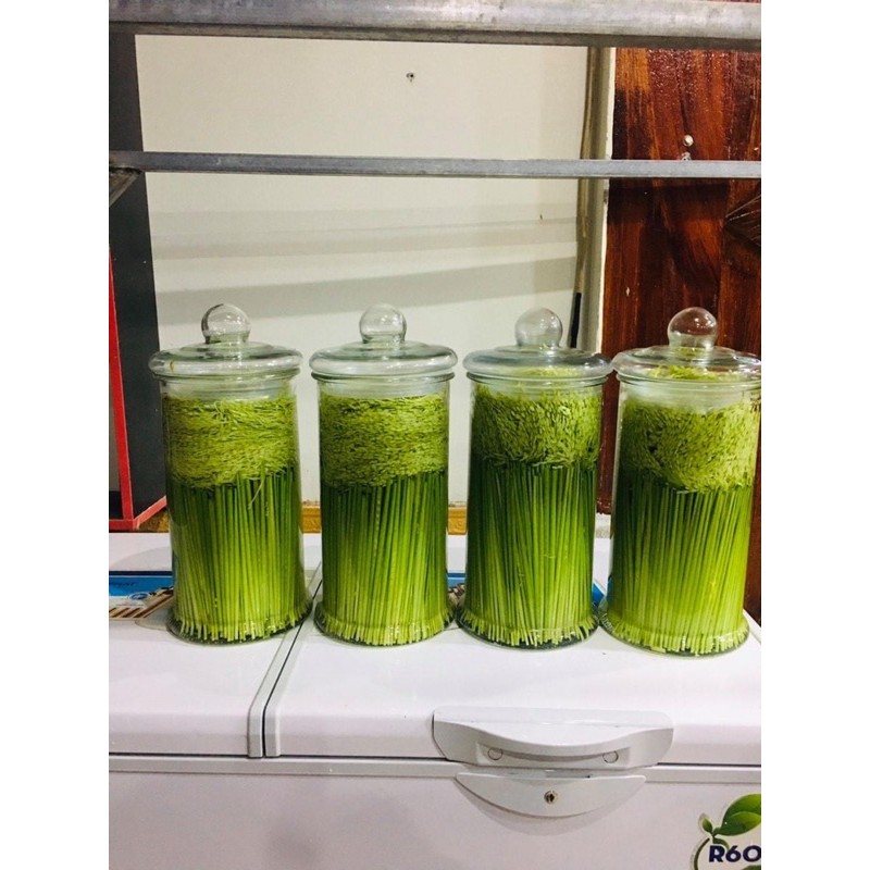 1kg Đòng đòng lúa nếp Kim Sơn Ninh Bình - HÀNG ĐẢM BẢO CHẤT LƯỢNG 100% - DƯỢC LIỆU HÀ HOÀNG