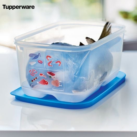 BỘ HỘP TRỮ MÁT COOL MATE  - TUPPERWARE NHỰA NGUYÊN SINH