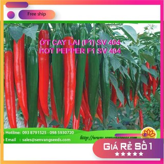 Hạt giống ớt cay lai f1
