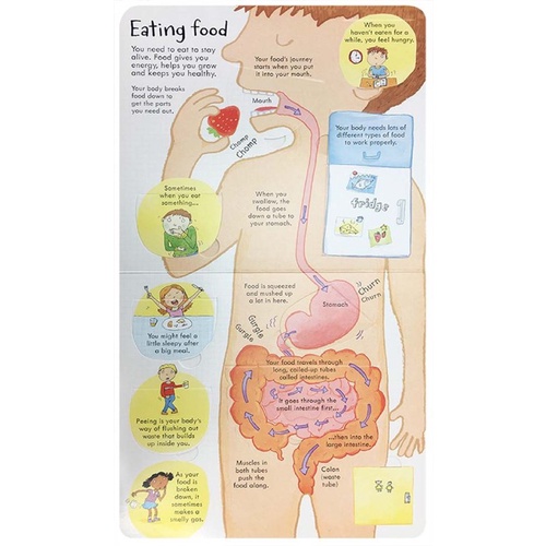Sách Usborne - Tương tác lật mở Look inside your body