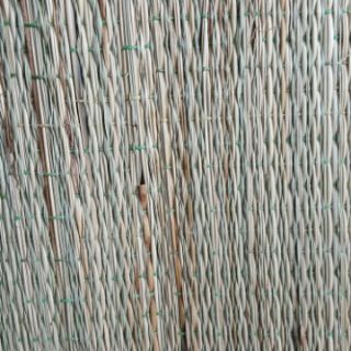 Chiếu cói trắng