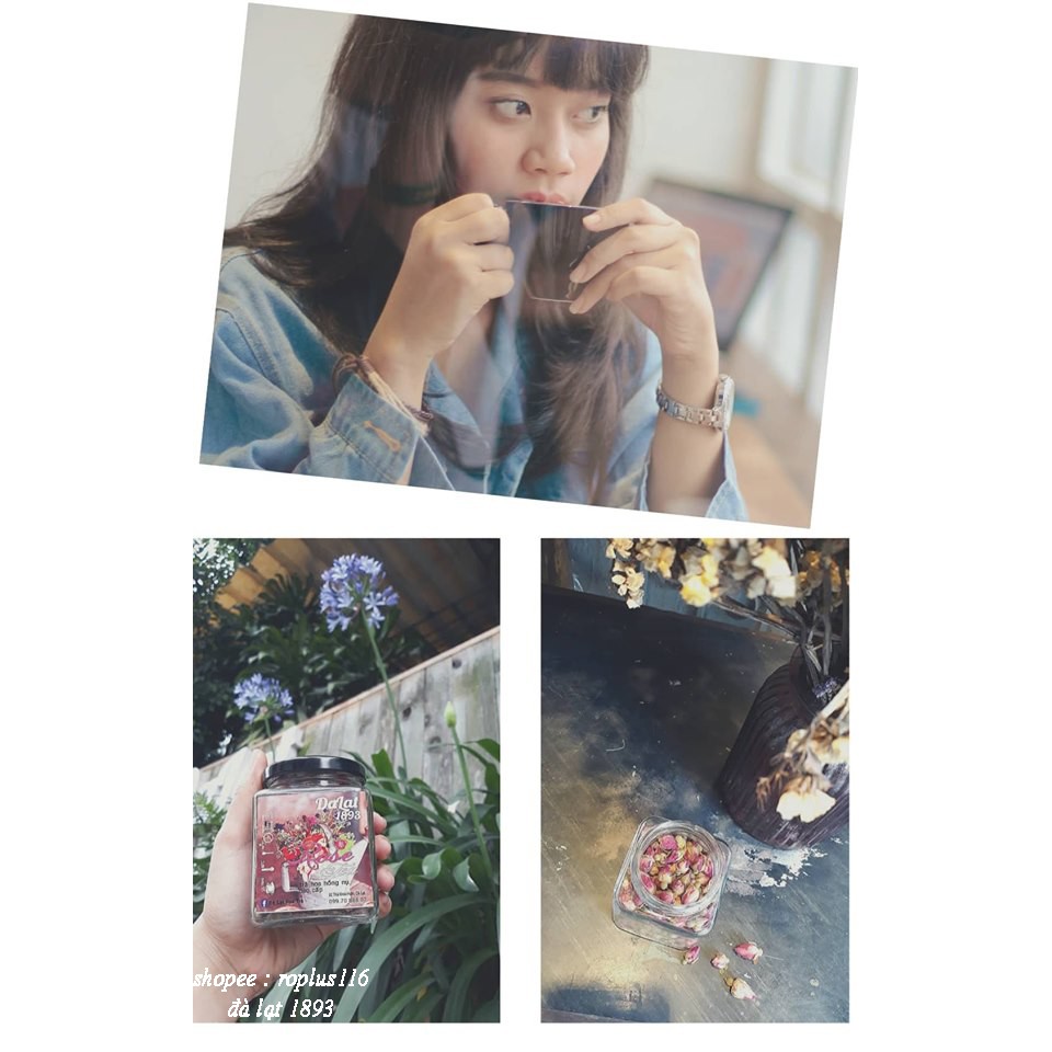 Trà hoa hồng nụ sấy khô Đà Lạt 1893 cao cấp | BigBuy360 - bigbuy360.vn