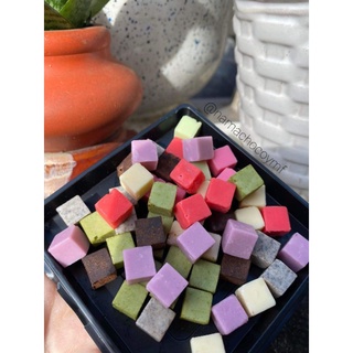 Combo 200 viên nama mini (1cm) - Nama choco YMF