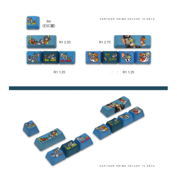 Bộ 10 keycap thay thế phím chức năng dành cho bàn phím cơ chất liệu PBT profile OEM