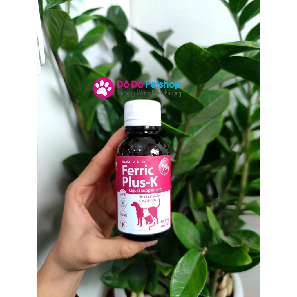 Ferric Plus - K 100ml - Thuốc bổ máu cho chó mèo