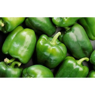 [Siêu khuyến mại] Hạt giống ớt chuông xanh năng xuất cao - 100 hạt