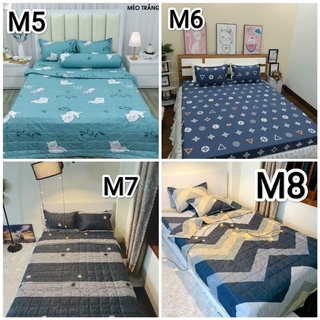 Sét 3 món ga và 2 gối Poly Cotton
