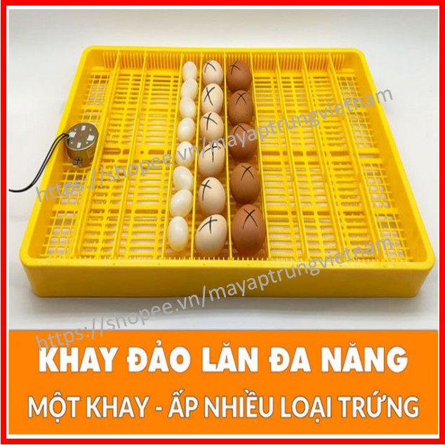 [Đảm bảo nở trên 90%] Máy ấp trứng tự động Ánh Dương - 1 khay ấp tất cả các loại trứng