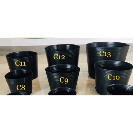 Chậu nhựa đen C8-C9-C10-C11-C12 trồng cây hiệu Phước Lộc dày dặn