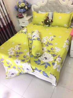 Set vỏ chăn ga trần bông