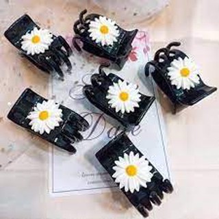 Sỉ 12 Cặp ba răng hoa cúc họa mi hot - SP001075