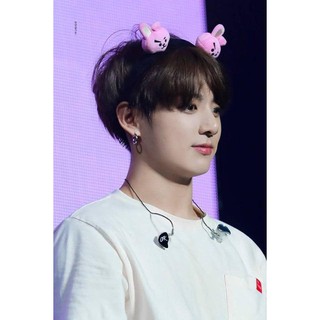 Cài Tóc Bờm BT21 Mẫu 1