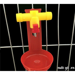 10 Bộ Núm uống cho gà nuôi lồng
