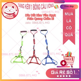 Dây dắt kèm yếm ngực phản quang chấm bi ⚡𝐅𝐑𝐄𝐄𝐒𝐇𝐈𝐏⚡ dây dắt cho chó mèo thú cưng