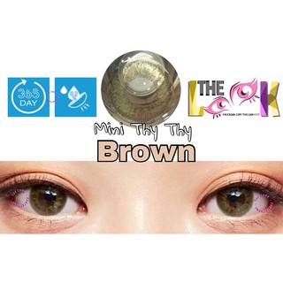 CONTACT LENS MÀU BROWN - NÂU RÊU - ÁP TRÒNG