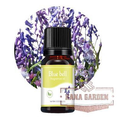 Tinh dầu Chuông gió màu xanh (Blue Bel Oil) Thiên Nhiên Nguyên Chất Cao Cấp