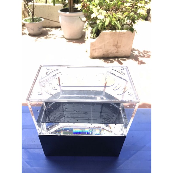 Bể cá acrylic mini thủy sinh để bàn làm việc