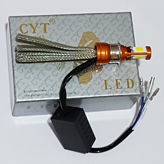 bóng đèn led hàng nhà máy chân M5 cho Dream Wave cũ