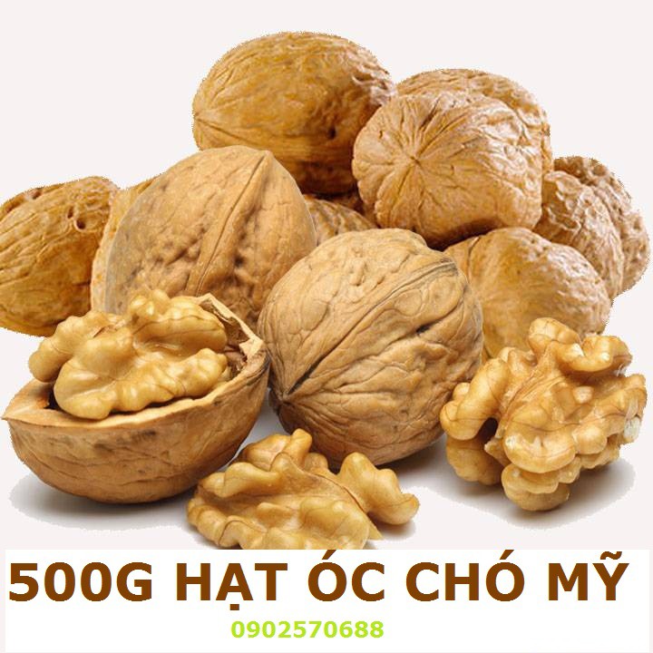 500G QUẢ ÓC CHÓ NHẬP KHẨU CHUẨN CHẤT LƯỢNG THƯƠNG HIỆU SK FOOD