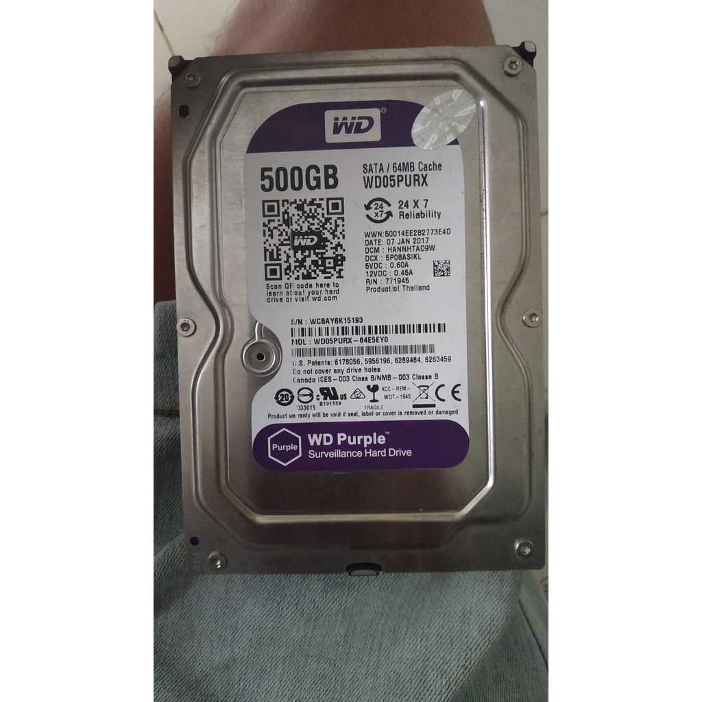Ổ cứng WD 500GB 64MB/s