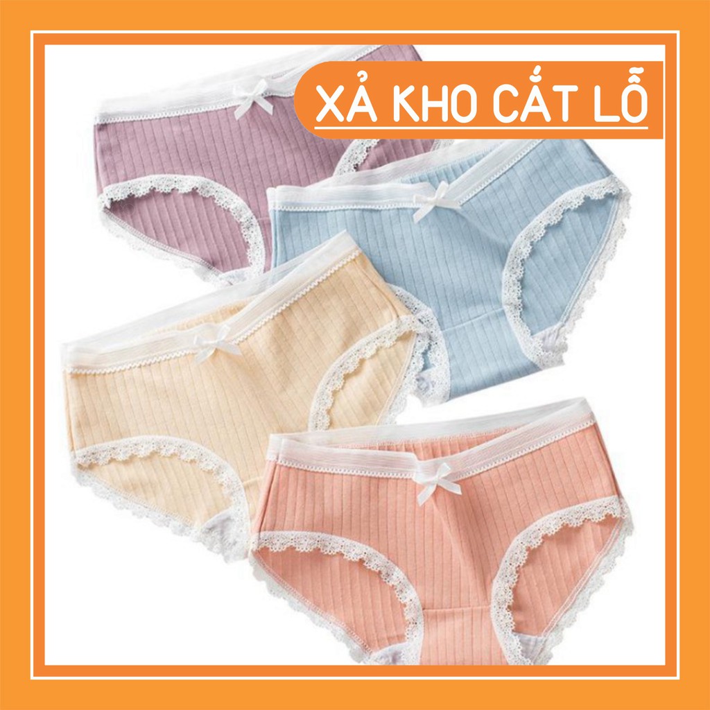 Sỉ Quần Lót Nơ Cotton Nữ Phối Ren Chất Đẹp cực Gợi cảm Rẻ Nhất Thị Trường