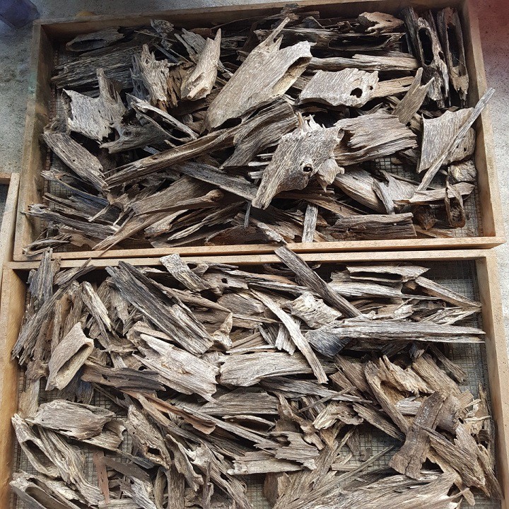 Bột vụn trầm hương Thiên Nhiên-XÔNG PHÒNG