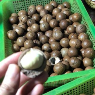 Sỉ 2kgMắc ca Đăk Lăk